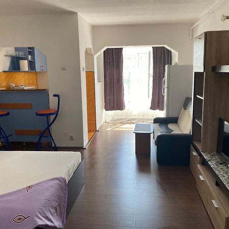 חונדוארה Garsoniera One Bedroom Apartment מראה חיצוני תמונה