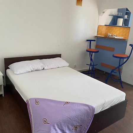 חונדוארה Garsoniera One Bedroom Apartment מראה חיצוני תמונה