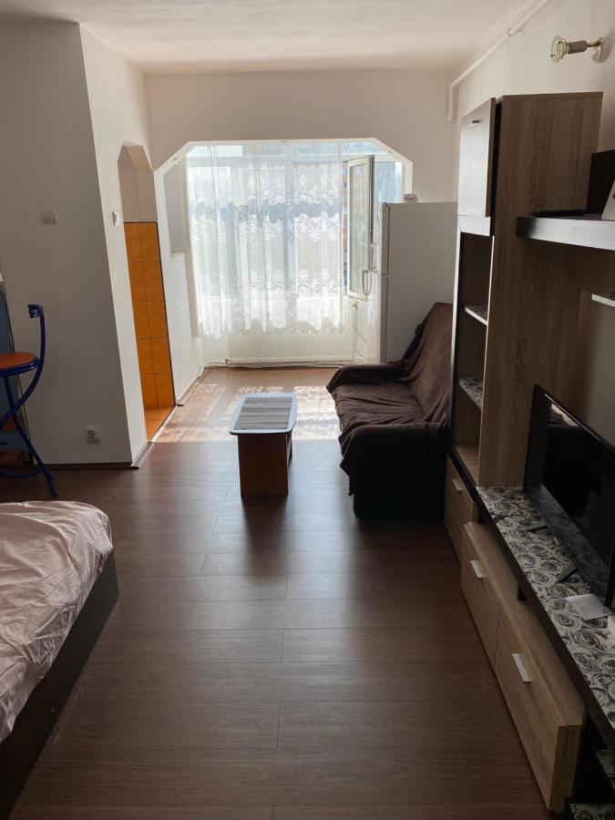 חונדוארה Garsoniera One Bedroom Apartment מראה חיצוני תמונה