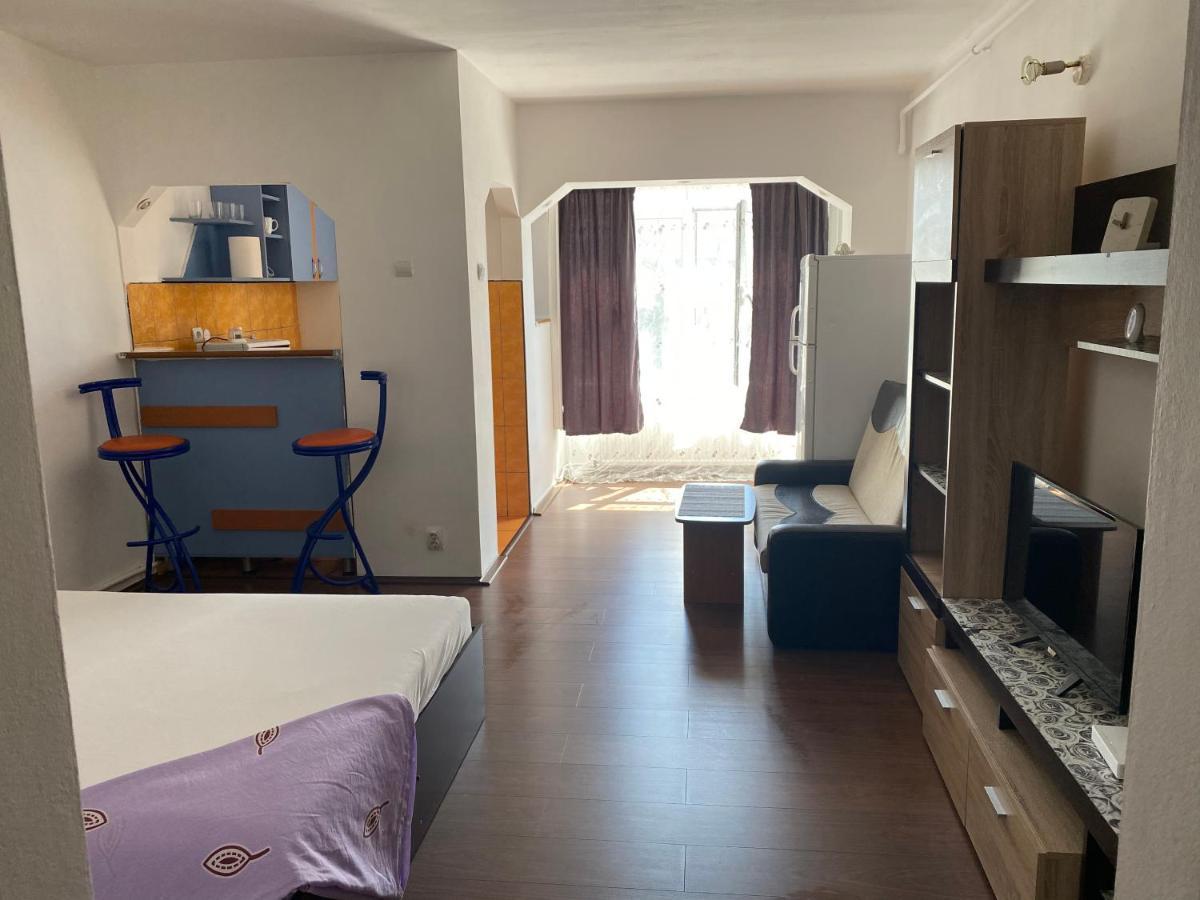 חונדוארה Garsoniera One Bedroom Apartment מראה חיצוני תמונה