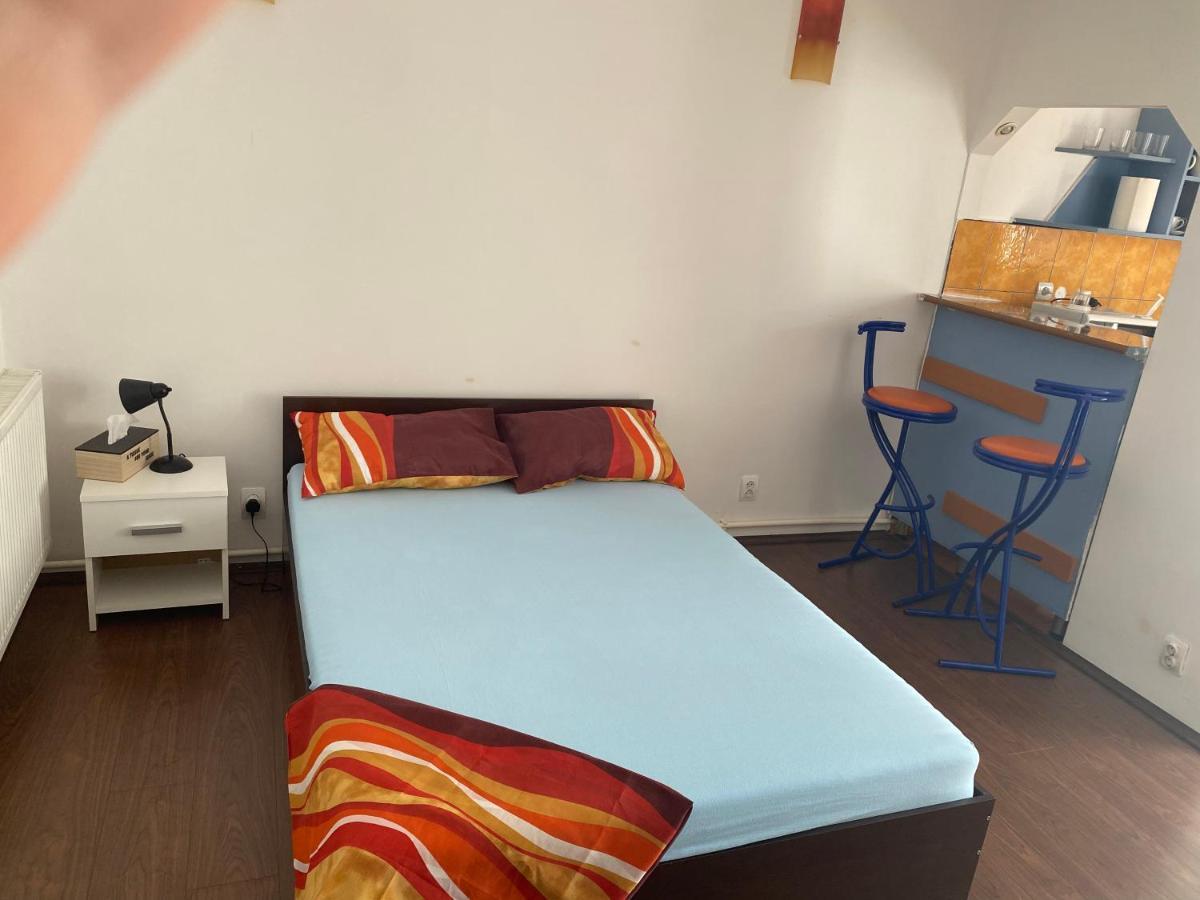 חונדוארה Garsoniera One Bedroom Apartment מראה חיצוני תמונה